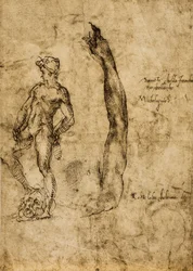 Studie voor het standbeeld van David; tekening van Michelangelo. Het Louvre, Parijs